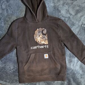 Carhartt Brown Sweatshirt Classic Pullover Hoodie